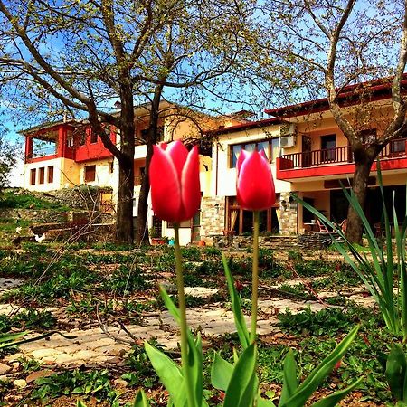 Evridiki Hotel Vergina Buitenkant foto