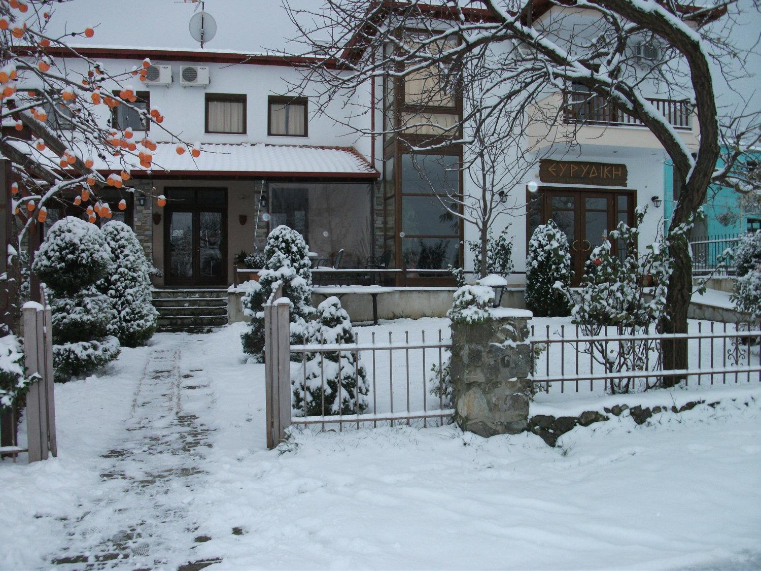 Evridiki Hotel Vergina Buitenkant foto