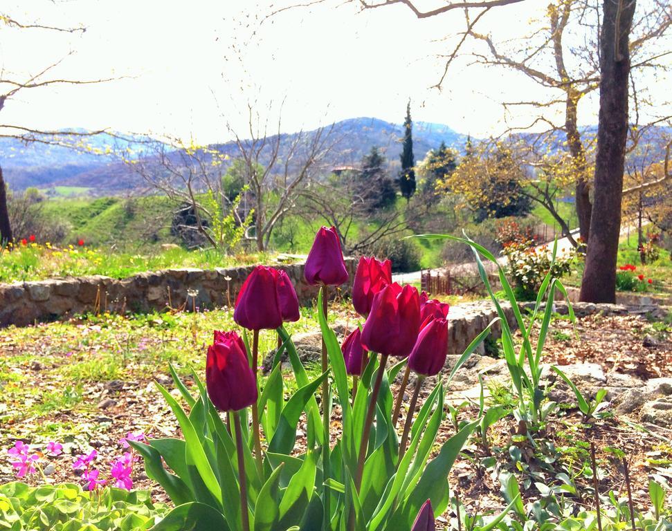 Evridiki Hotel Vergina Buitenkant foto
